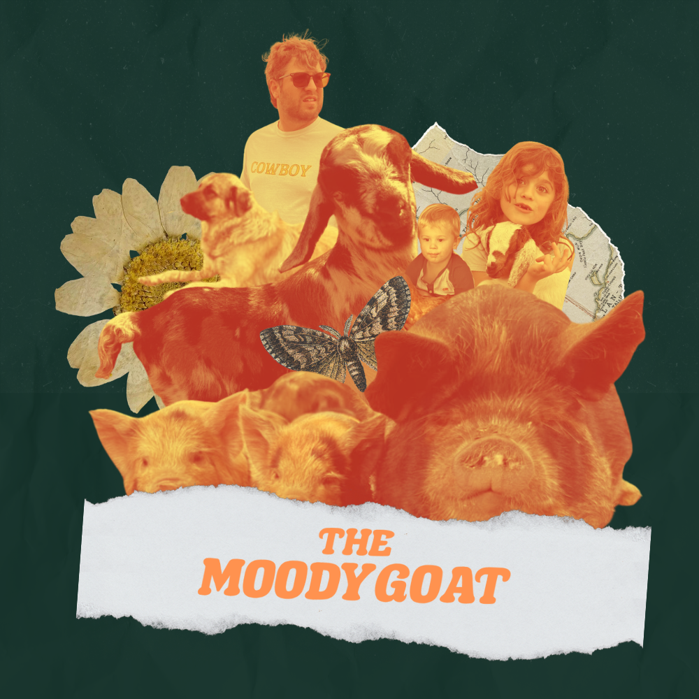 Moody Goat Gift Card